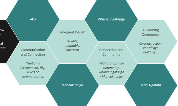 NetNZ Teaching: Foundations